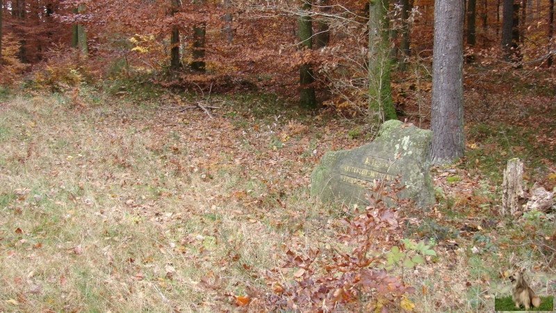 Ritterstein Nr. 226-4 Alte Strasse  Keltenzeit - Mittelalter  Spurrillen - Damm.JPG - Ritterstein Nr.226 Alte Strasse - Keltenzeit - Mittelalter - Spurrillen - Damm